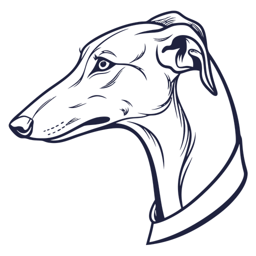 Non Gamstop Betting Sites